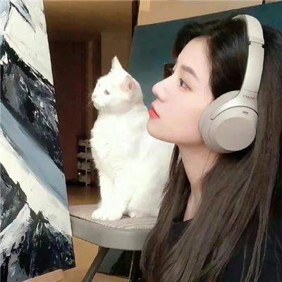 乌鸦小姐与蜥蜴先生